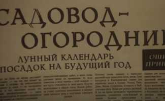 Крем Сода – Подожгу клип смотреть