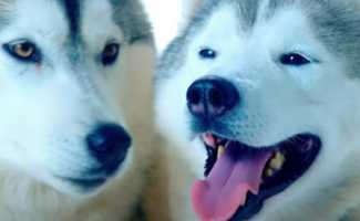 Ханна, Артик – Как в первый раз смотреть клип